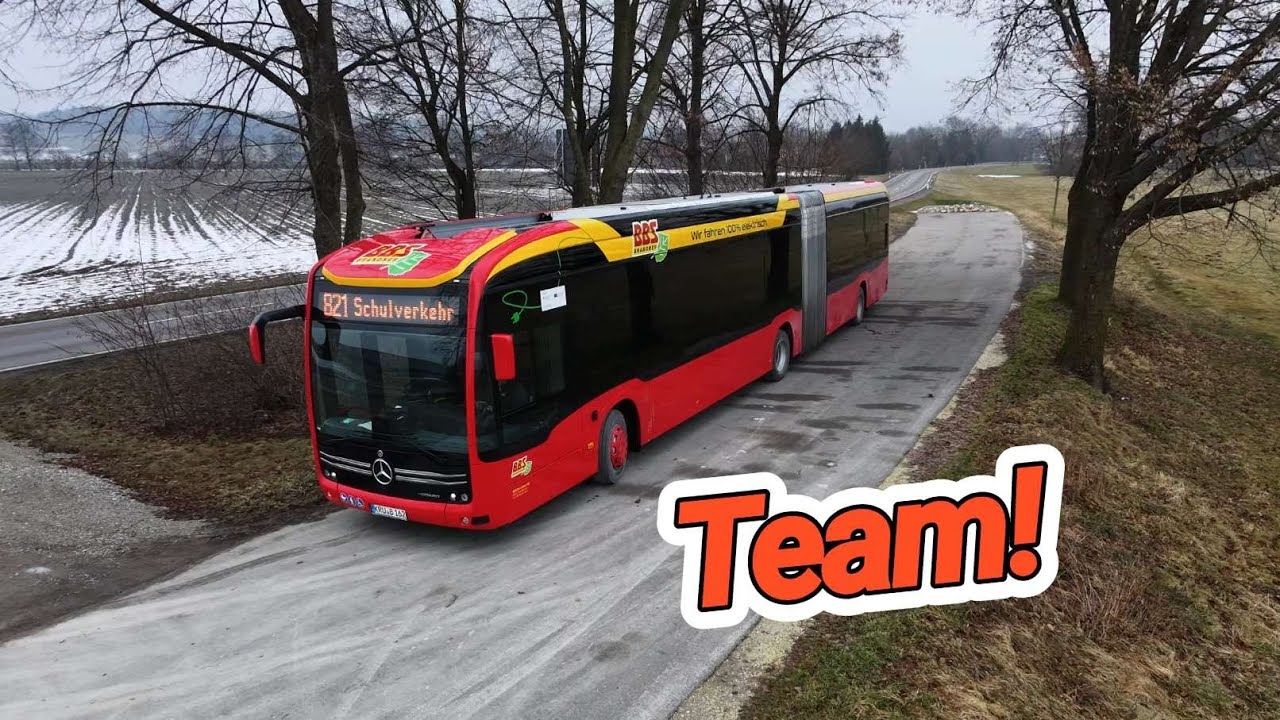 Kleine Gespräche unter Flamingo Boys 