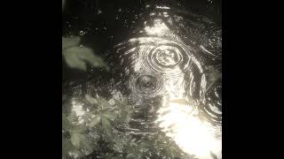 (free) deftones + novulent + quannnic + heavy shoegaze type beat - SEREIN