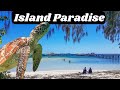 Green island day trip from cairns  great barrier reef snorkelling tour north queensland