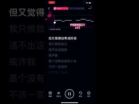 黑色柳丁- 伴奏 （李芷婷）