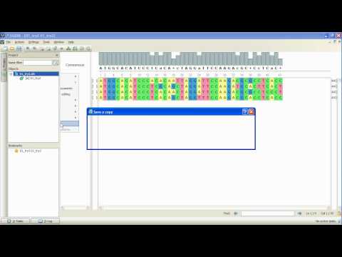 Unipro UGENE podcast #18: Performing profile-to-profile and profile-to-sequence MUSCLE alignments