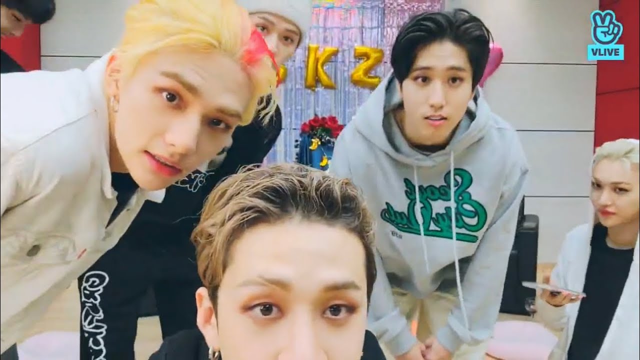 𝐒𝐭𝐫𝐚𝐲𝐊𝐢𝐝𝐬 𝐕𝐋𝐈𝐕𝐄🧭