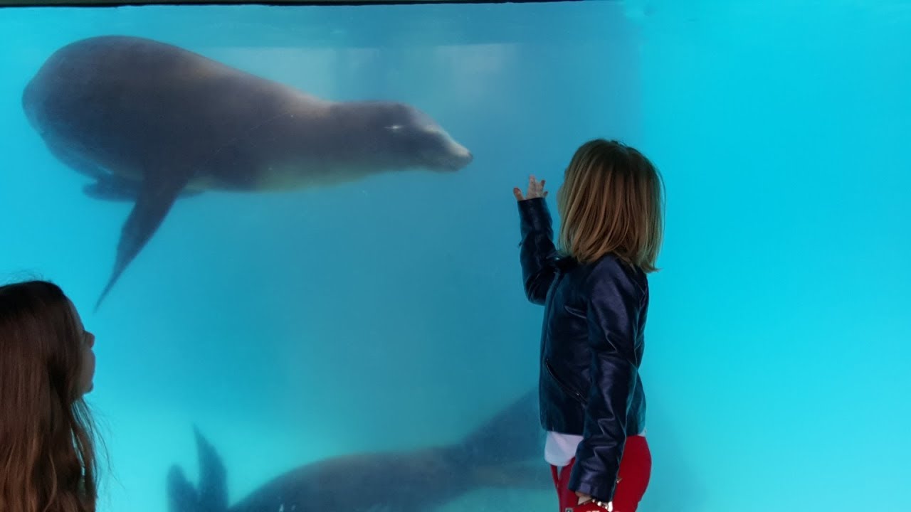 Zoo & Aquarium trip with Jillian & Addie of Babyteeth4