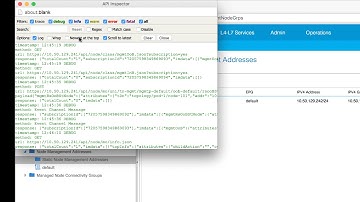 Cisco ACI - Using API Inspector and Postman