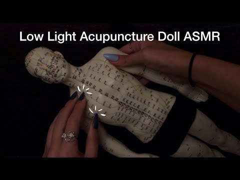 Low Light ASMR With The Acupuncture Doll! Tapping, Scratching, No Talking