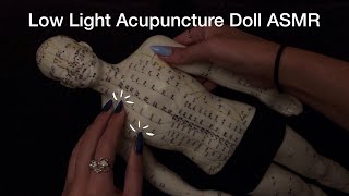 Low Light ASMR With The Acupuncture Doll! Tapping, Scratching, No Talking
