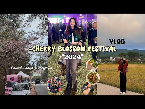 Cherry Blossom festival Vlog: 2024// café hopping, shopping, food 🍛🌸