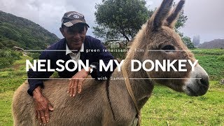 The Last Traditional Farmer: His Timeless Wisdom from Island Life