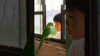 “The Parrot and the Titanic Love — A Heart-Touching Story 🐦🚢 #tota Pakhi #shorts