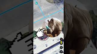 Look, Its A Giant Rhinoceros Smashed Through A Wall