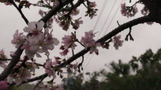 20120214 SONY VG-10 試拍-2
