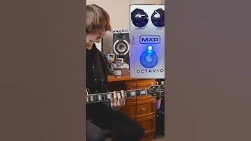 MXR Octavio Fuzz #mxrOctavio #mxr #octavio #fuzzpedal #fuzz #electricguitar #guitargear #guitardemos