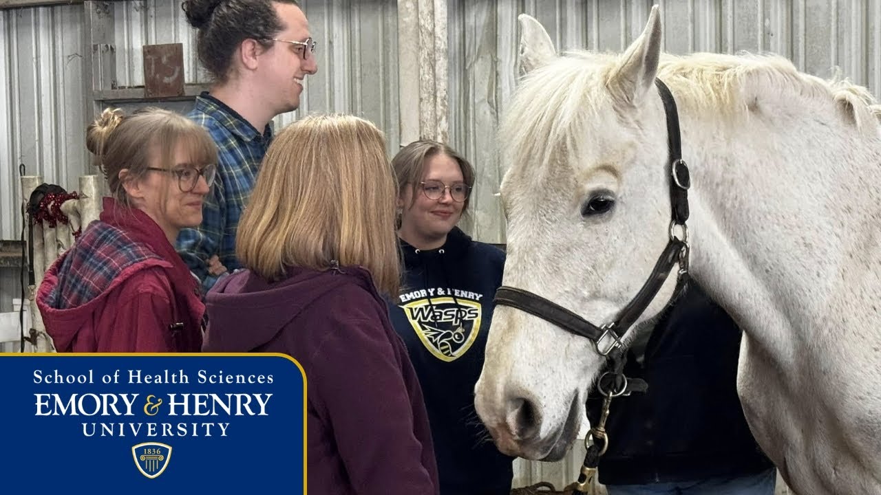 Equine Assisted Therapy Concentration | Clinical Mental Health Counseling