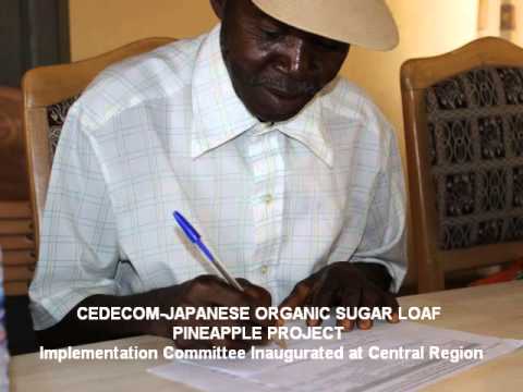 CEDECOM JAPANESE Funded Project - Implementation Committee Inaugurated