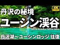 【徹底解説】丹沢の秘境「ユーシン渓谷」 ～通行止め解除！丹沢湖からユーシンブルーを楽しみつつユーシンロッジまで往復～ Course Guide of Yushin Valley.