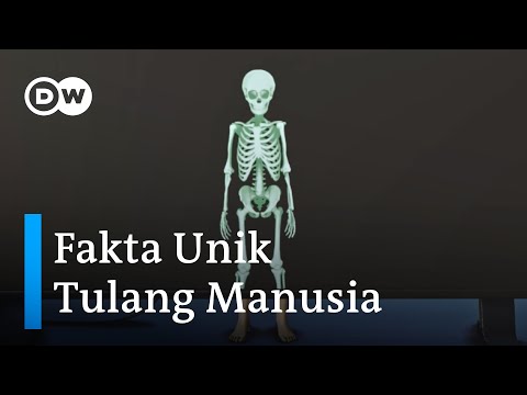 Video: Fakta Menarik Mengenai Rembesan Dan Rembesan Manusia - Pandangan Alternatif