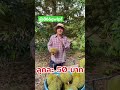 24 พฤษภาคม 2026 EP29 #ทุเรียน #ai #ทุเรียนจันทบุรี 