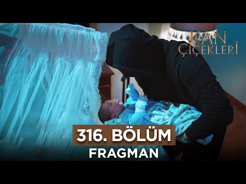 Kan Çiçekleri 316.