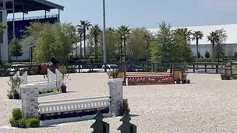 Con Figaro