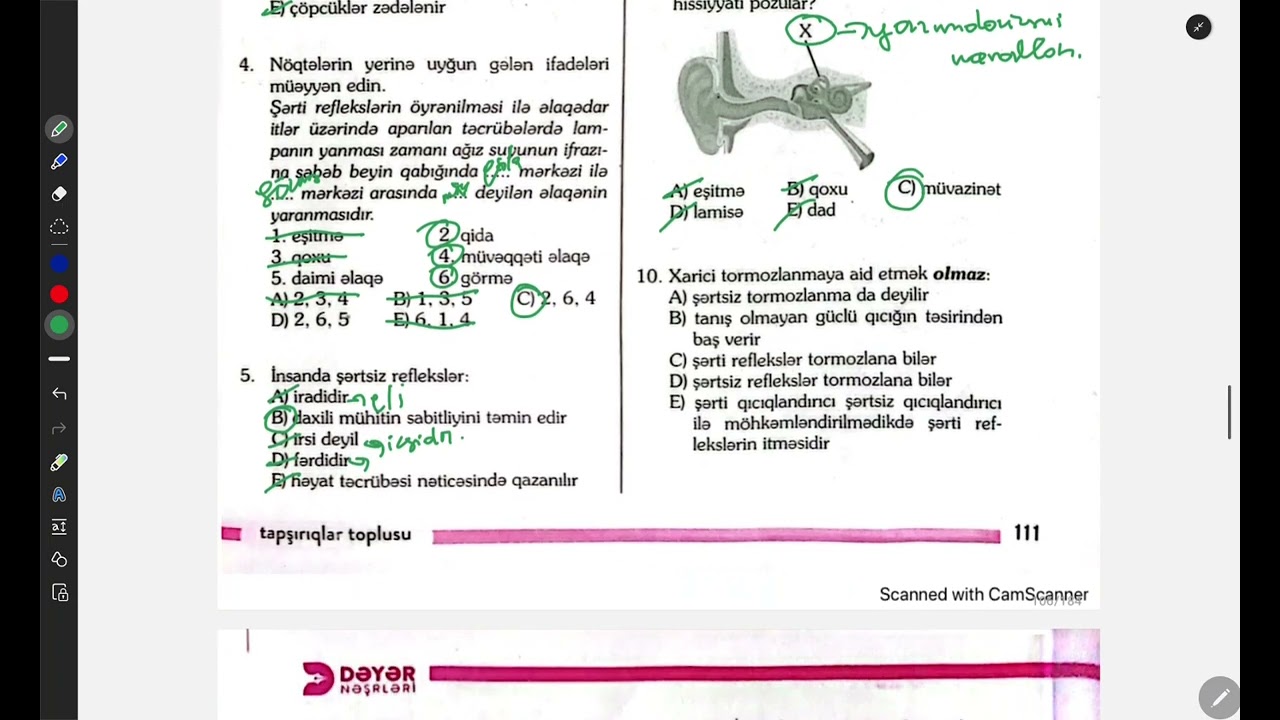 #Dəyər toplusu.Analizatorlar və ali sinir fəaliyyəti möhtəşəm izah🔥.#miq#keşfet#keşfetedüş#test
