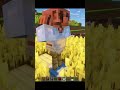 Construí un ESPANTAPÁJAROS de COBRE en Minecraft 😱⚒️