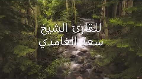 سعد الغامدي صوت حزين وتلاوة خاشعة جدا