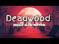 Really Slow Motion Deadwood Epic Dark Rock Action
