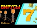 ВИРУСЫ • СТРОЕНИЕ бактериофага, ВИЧ •