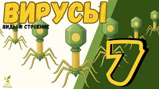 ВИРУСЫ • СТРОЕНИЕ бактериофага, ВИЧ • ВИРУСЫ • СТРОЕНИЕ бактериофага, ВИЧ •