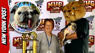 Rescue Pug Who Escaped South Korea s Dog Meat Trade Crowned World s Ugliest Dog