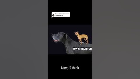 PART 6 programmer stereotypes #fireship #technology #foryoupage #foryou #techtok #fyp