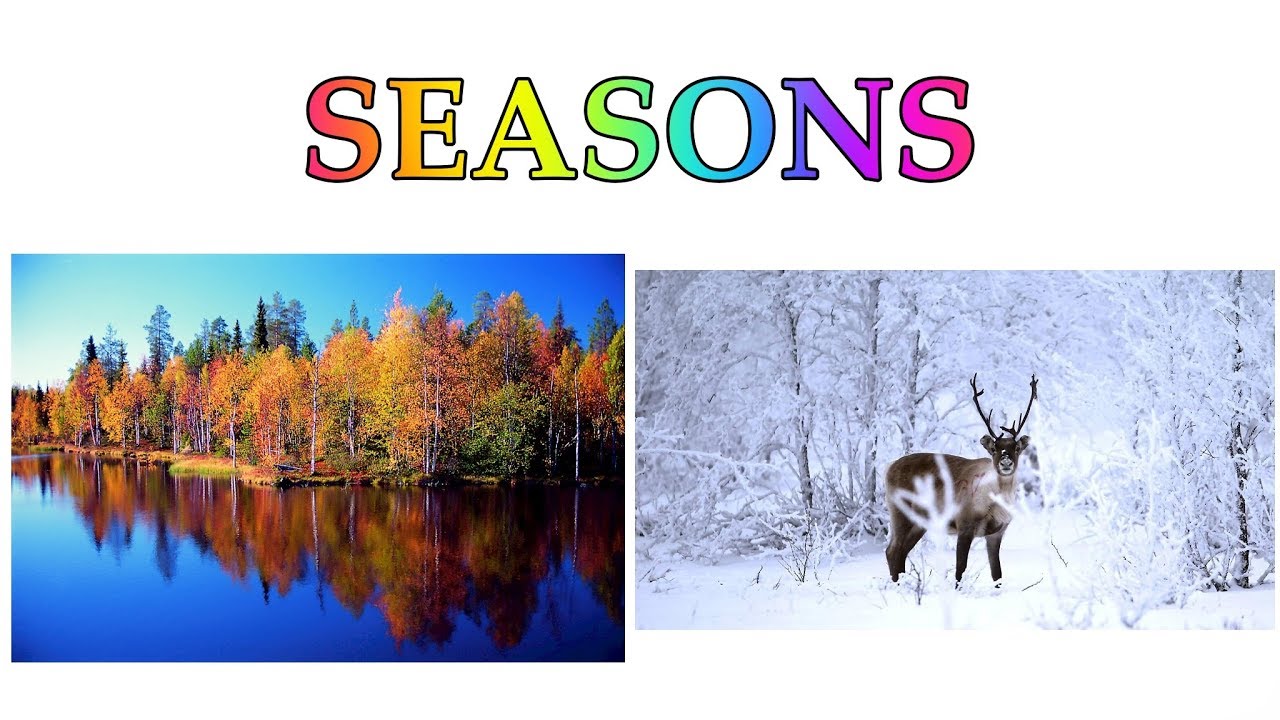 Seasons: an exercise - YouTube