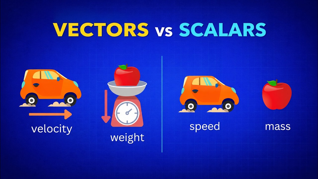 Vectors vs Scalars Explained (What’s the Difference?) - YouTube