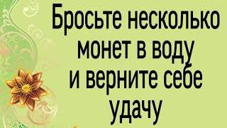 Бросьте несколько монет в воду и верните удачу. | Тайна Жрицы |