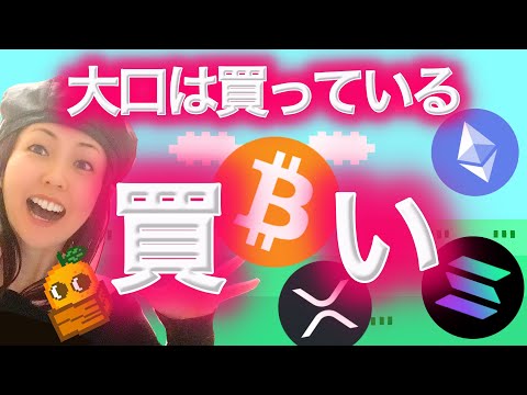31,523BTC 爆買いしている大口投資家がいる！！！