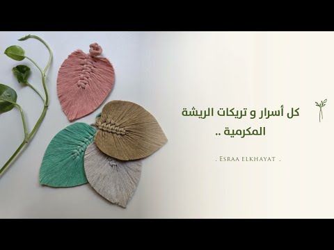 كل المعلومات عن الريشه المكرميه اسرارها وتركاتها