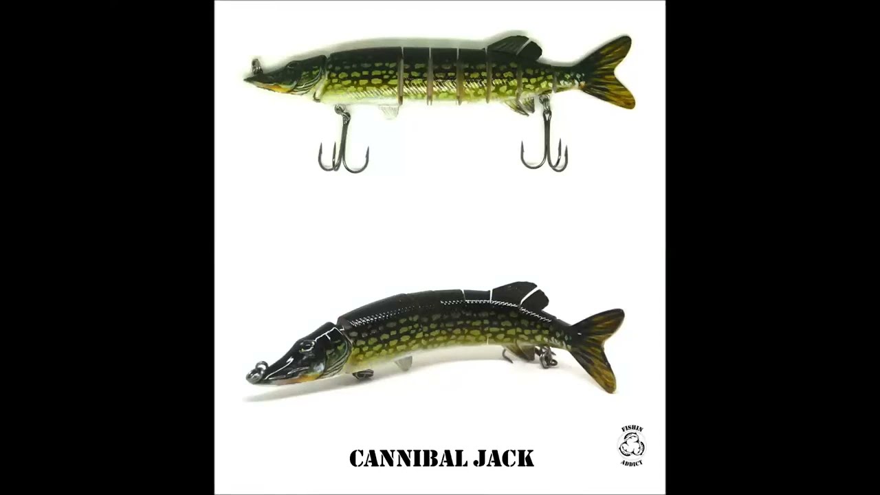 JACK PIKE 8″ (200mm) Cannibal Swimbait Fishing Lure FISHIN ADDICT – Fishin  Addict