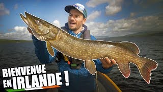 On PECHE des poissons de REVE en IRLANDE !