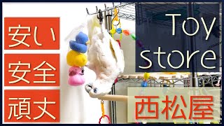 オウム飼うなら西松屋 [Sub] -Baby goods store for my parrot- ソロモンオウム　Parrot