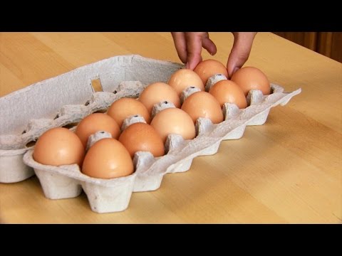Could You Uncook An Egg?