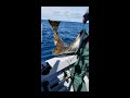 First Pacific Halibut Fishing trip of 2020 Newport, Oregon