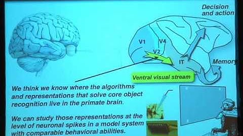 Mechanisms Underlying Visual Object Recognition: Humans vs. Neurons vs. Machines