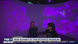 Science Museum of Minnesota: Exploring nature and engineering