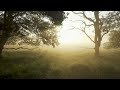 Costel Hantu - Dulce si amar ( TedMusic Cover)