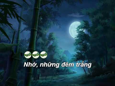 Đêm trắng