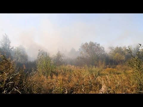 Пожежа на околиці Житомира