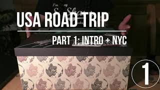 USA Road Trip part 1/7 | intro + NYC - ASMR soft spoken (ZOOM mic) screenshot 1