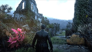 RDR2 REALISTIC GRAPHICS MOD MAX SETTINGS ULTRAWIDE 21:9 [4K60FPS]