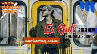 Hamdam Sobirov Ex guli 2