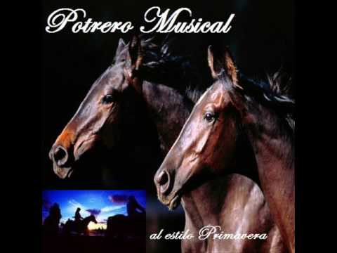Watch the video for Si te vuelvo a ver